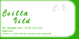 csilla vild business card